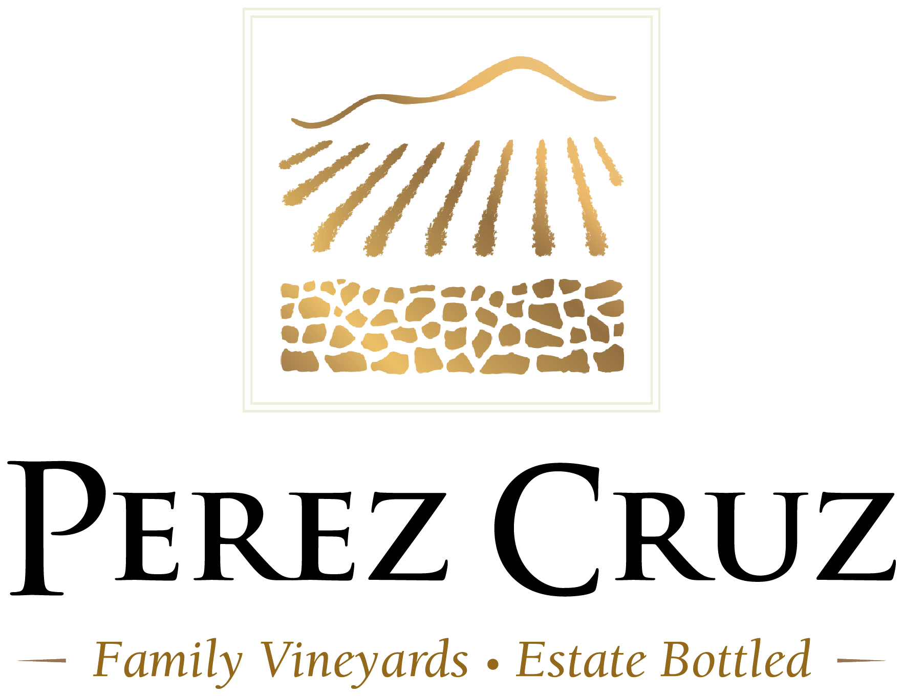 Viña Pérez Cruz